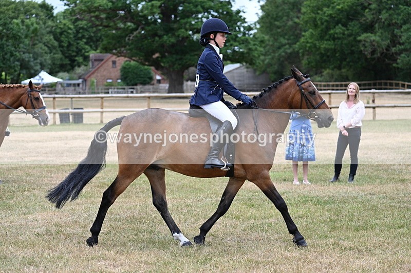WJ7_0481 - Class 2 Best rider