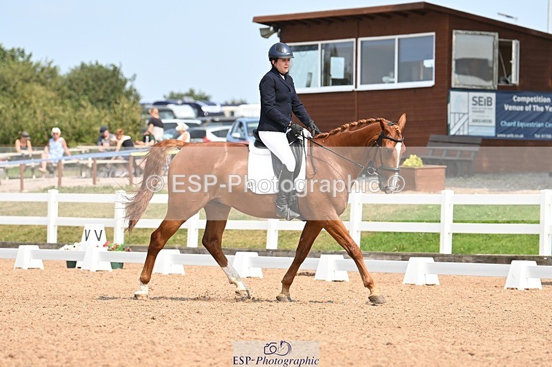 250816-134239-04901 - 080-Elizabeth.StoneZiggy