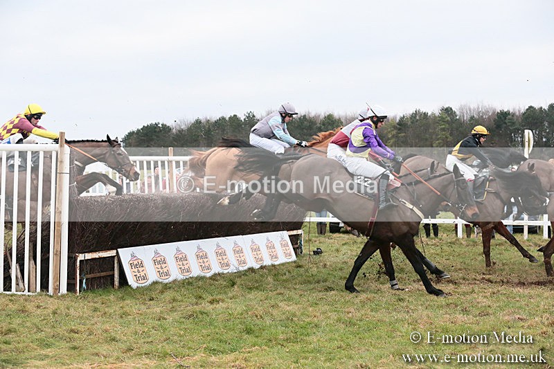 PtP 060119 468 - Larkhill Racing Club - Point-to-Point- 06/01/2019