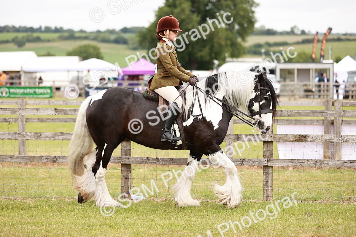 SBM_06087 - Class 39-41 TGCA In Hand and Ridden