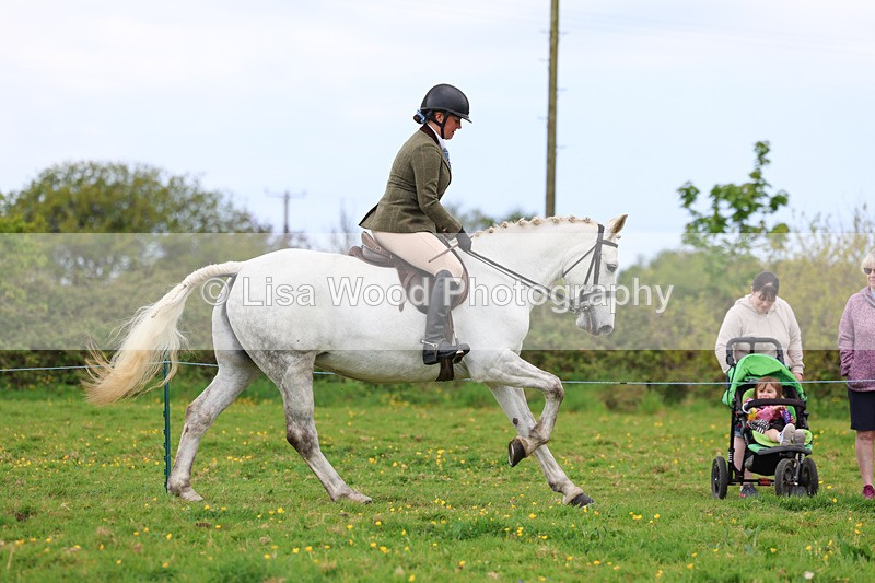 3E7A1191 - Class 7: Ridden Hunter Type