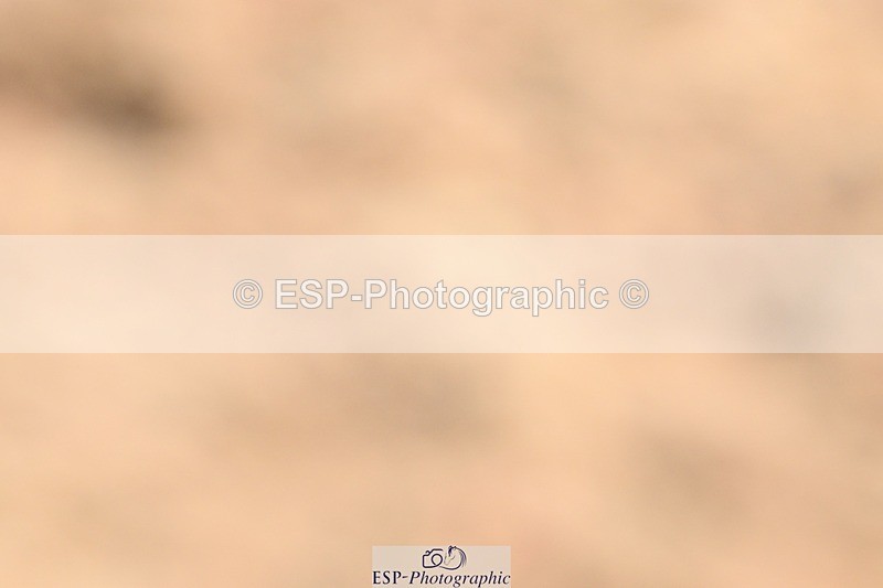 250621-110228-08136 - Cls 26 - Novice 5 Start to 12