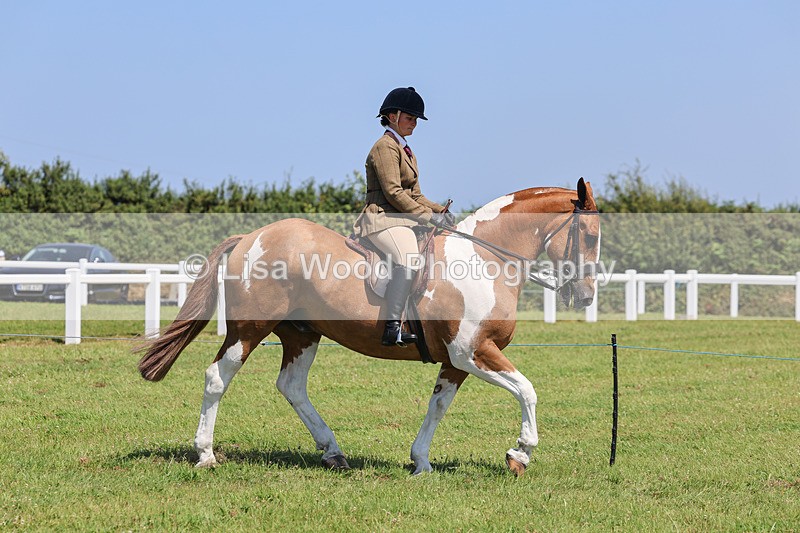 IMG_2301 - Class 38: Veteran Ridden