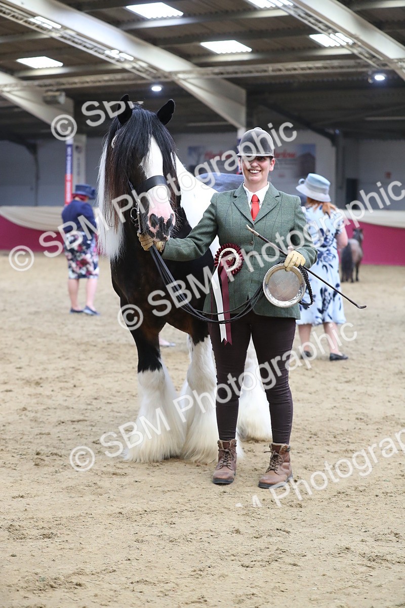 SBM_06458 - Class 9R Regional- IH Pre Vet