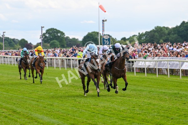 310525-Race 4-Scenic-9607 - Race 4 3.15pm William Hill Bronte Cup Fillies' Stakes