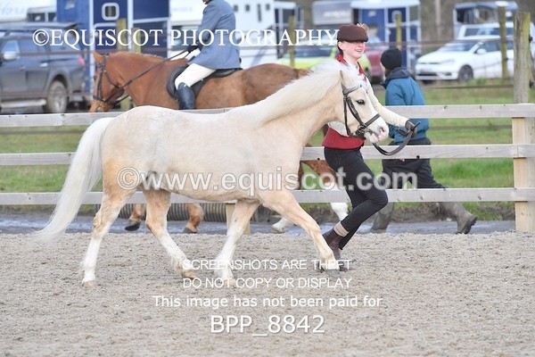 BPP_8842 - RING 2 - M&M