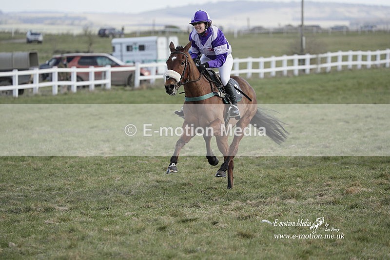 PtP 260223 68 - South & West Wilts Point-to-Point Larkhill 26/02/23
