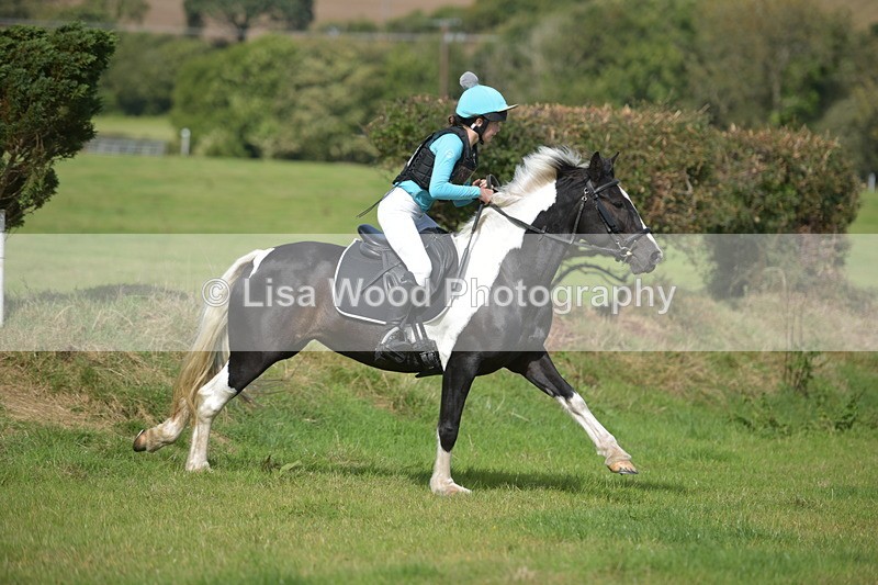 RAY_8646 - Class 2: Trekenning Open: Wall