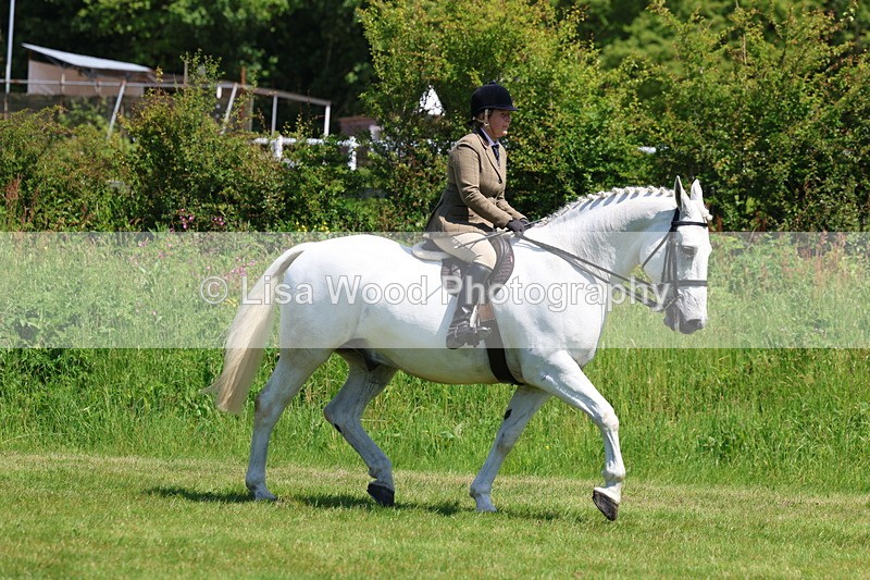 3E7A8238 - Class 13: Ridden Hunter