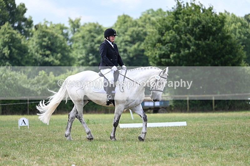 WJ7_4915 - Time 11:22 to 11:51