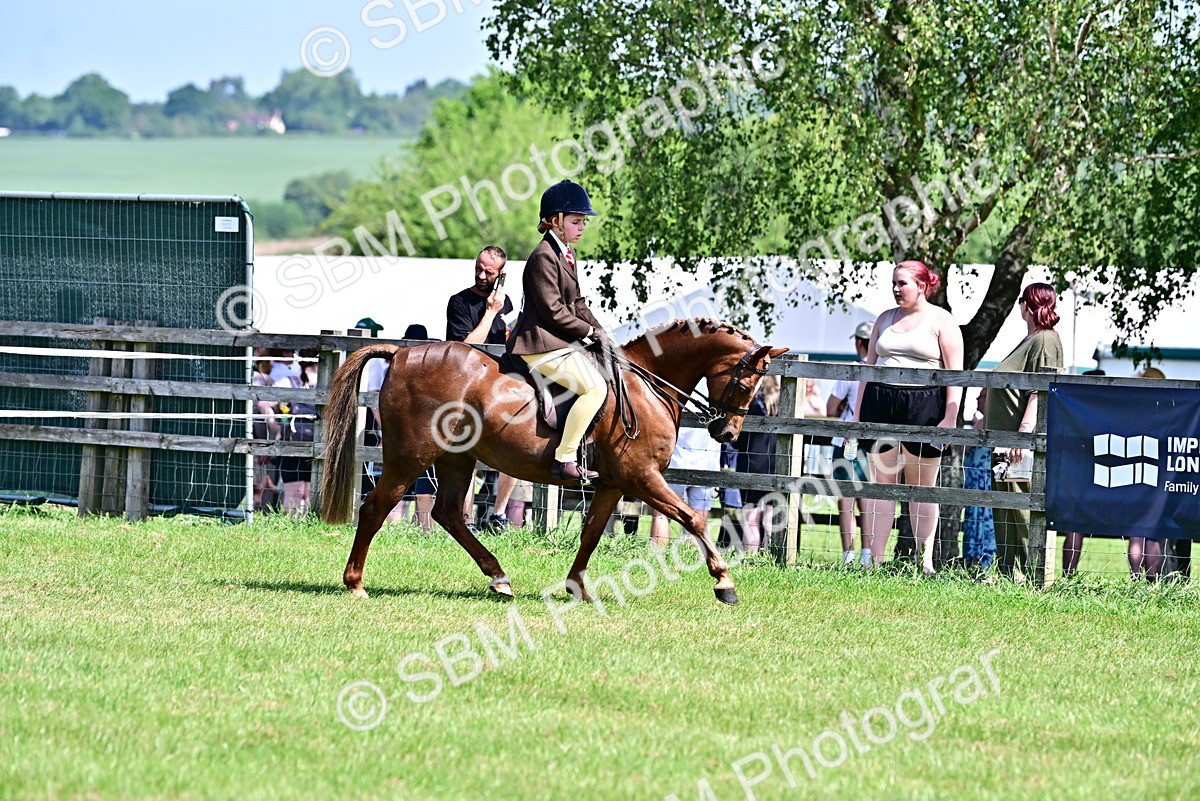 SBM_13870 - Class 95-97 - BSPS LHS Performance Ponies