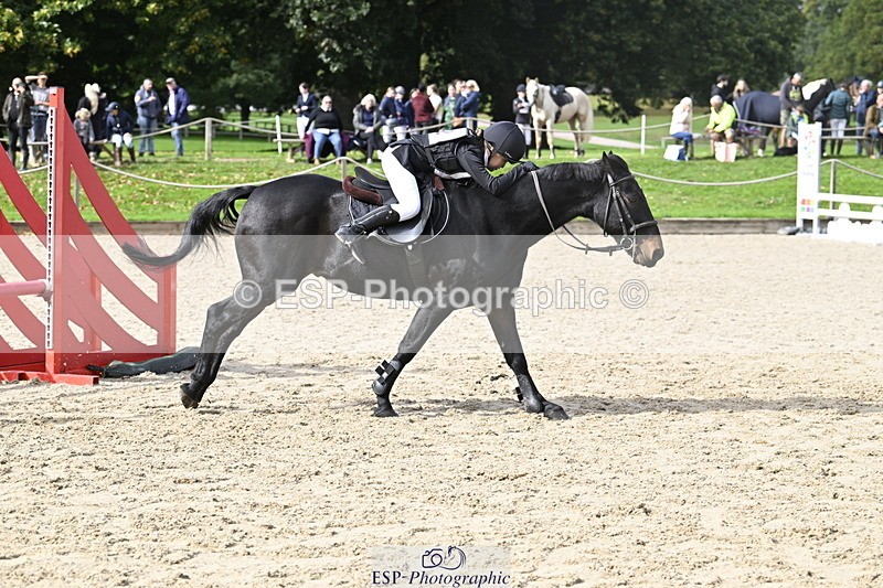 251005A-125625-03969 - Cls 08 Mini 70-75cm