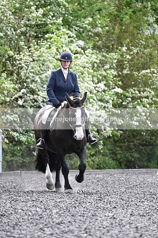 WJ7_9003 - Time 11:32 to 11:54