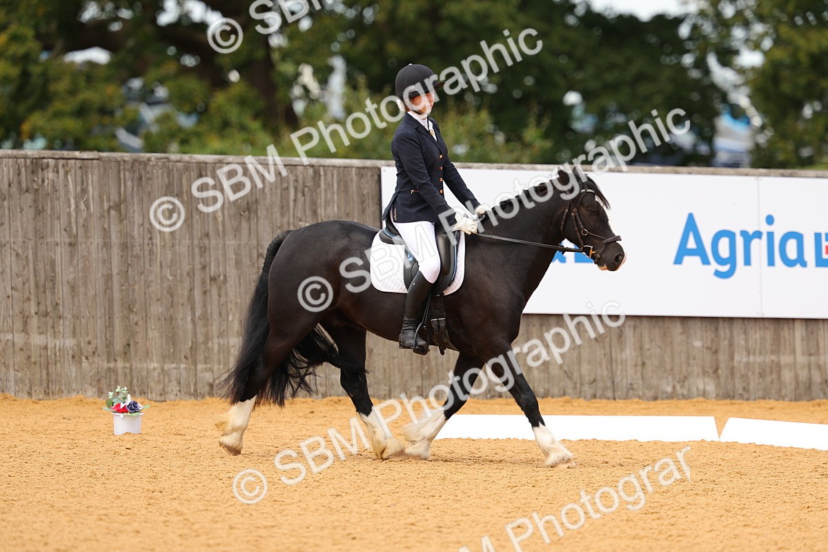 SBM_44000 - D22 - Junior Championship - Intro B