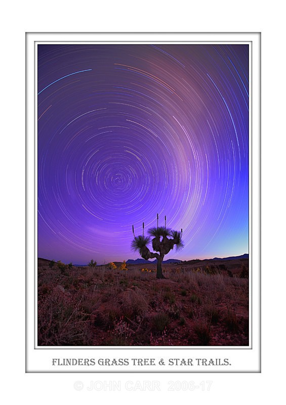 Beautiful Wall Art print, with a Border, showing Star Trails over a large Grass Tree in the Flinders Ranges, South Australia.