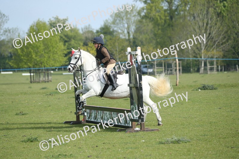 20260426-0120 - Class 13 - Rookie Jumping 50cm