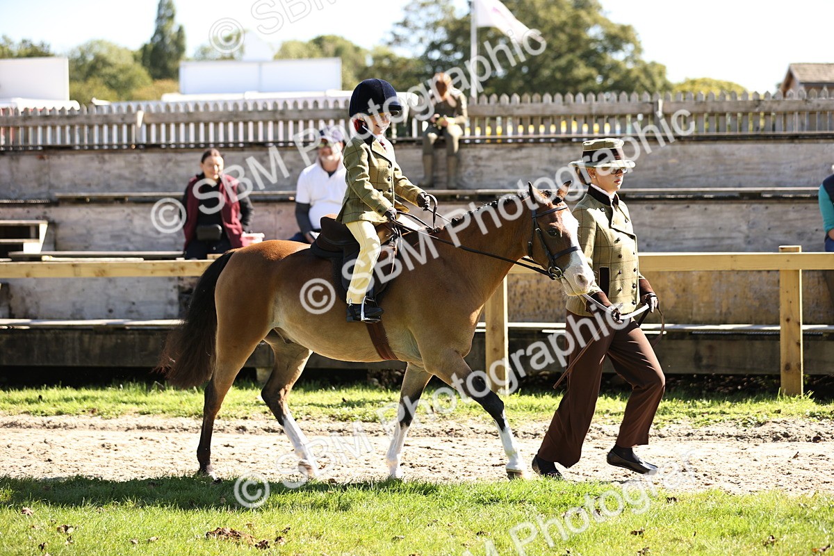 SBM_19231 - S3 - TSR Ridden Pony Showing