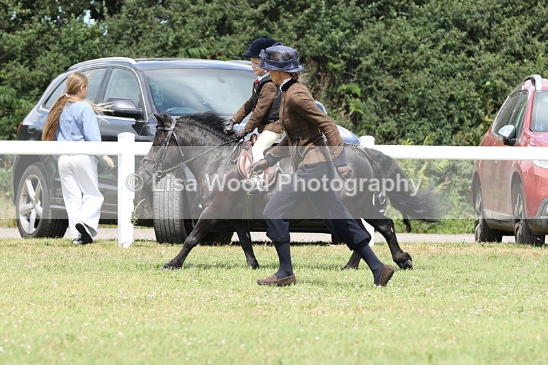 JPP_1898 - Class 18: Tiny Tots Working Hunter Pony