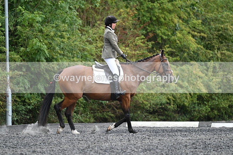 WJ7_6415 - Time 11:38 to 12:03