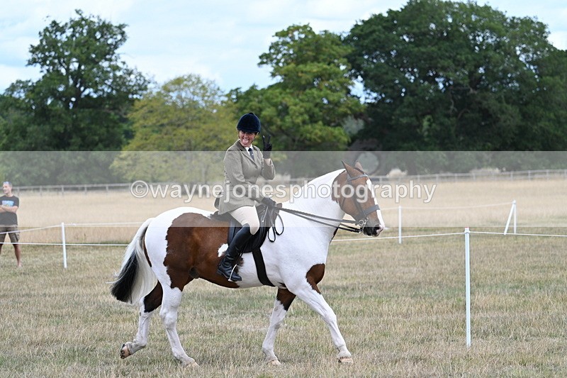 WJ7_4703 - Class 12 Ridden Cob