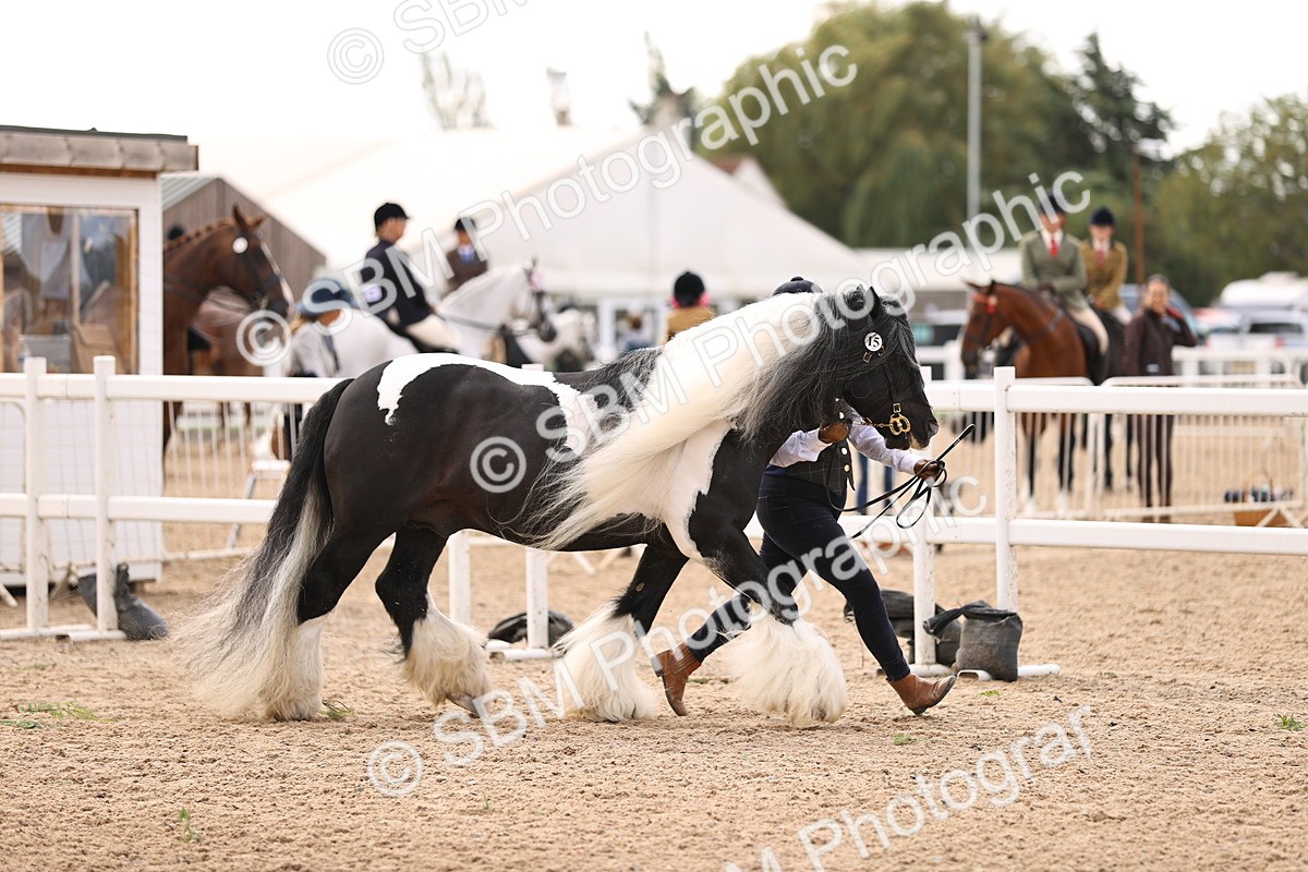 SBM_09283 - Class 404 - IH Traditional - Native Cob