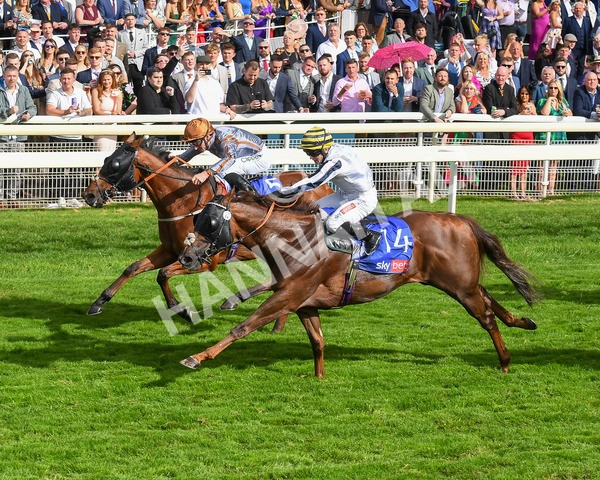 260823-Race 5-Summerghand-Albasheer-0775 - Race 5 Sky Bet Constantine Handicap