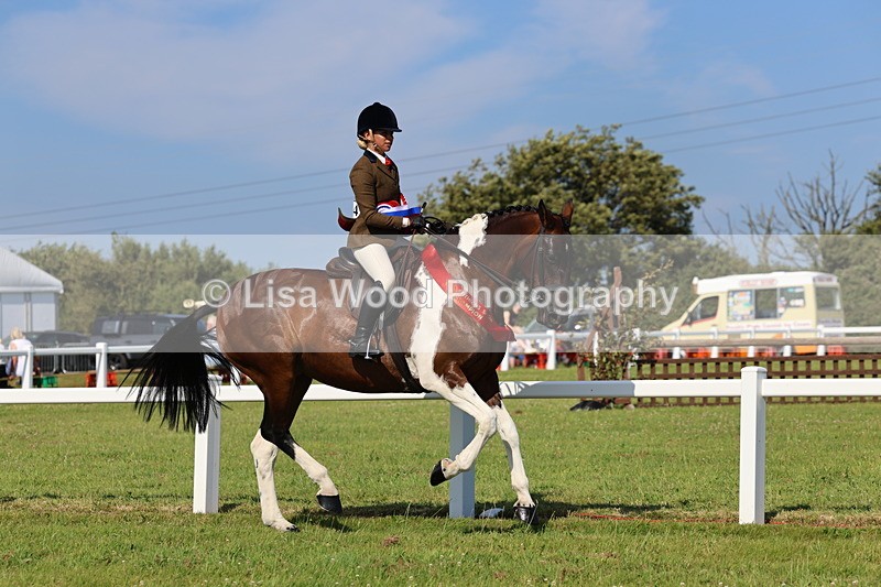 IMG_1688 - Skewbald and Piebald Ridden Championship