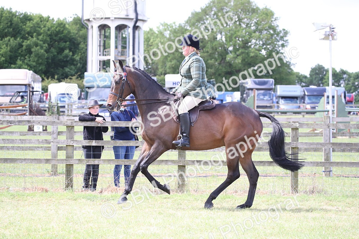 SBM_14196 - Class 113-114 - Retraining of Racehorses Ridden