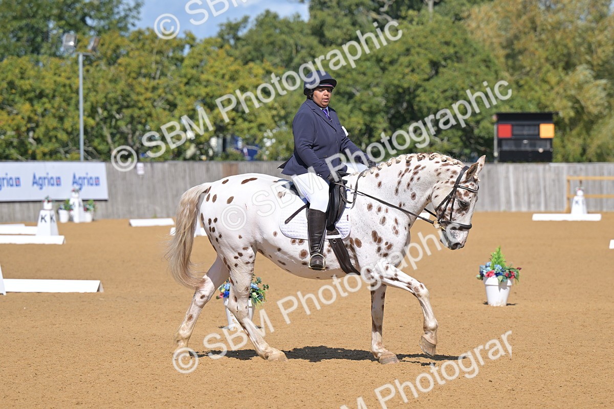 SBM_07895 - D8 - Small Tour Championship Prelim 1