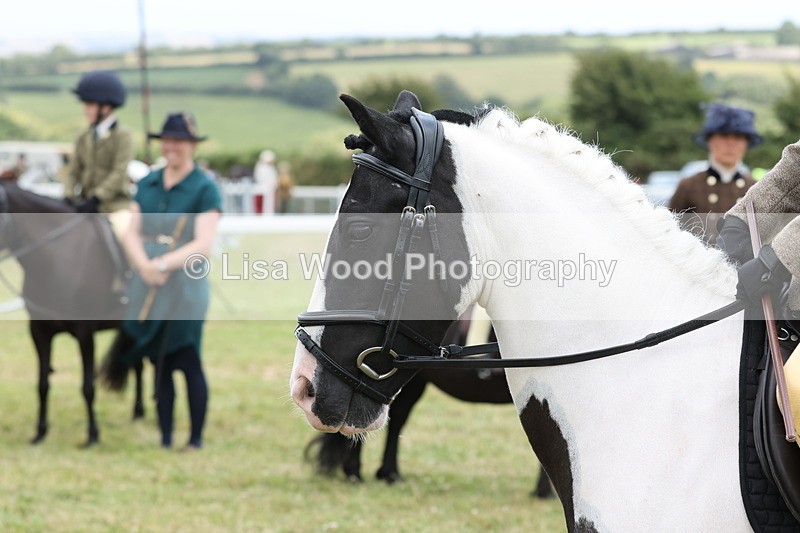 JPP_1953 - Class 18: Tiny Tots Working Hunter Pony