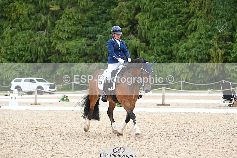 230813-142212-07746 - Cls 13 Medium Bronze 13.15 to End