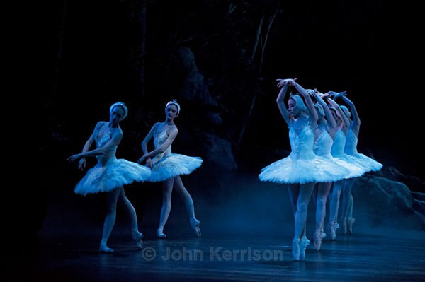  - Swan Lake