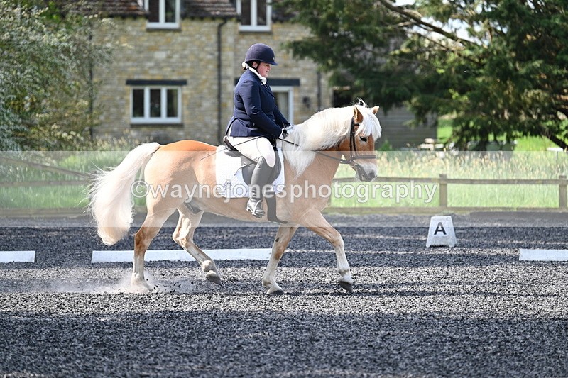 WJ7_7967 - Time 10:11 to 10:27