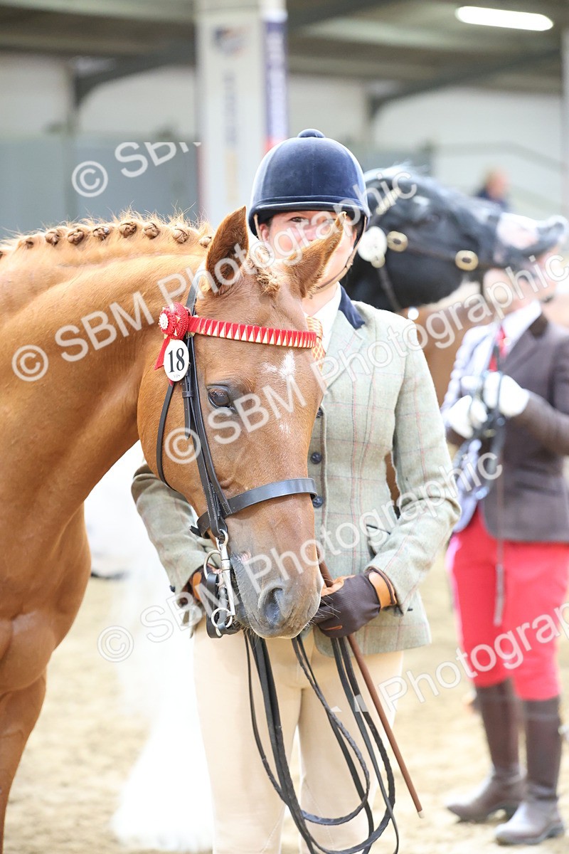 SBM_23360 - Class 903 - Supreme Final - IH Pre Vet