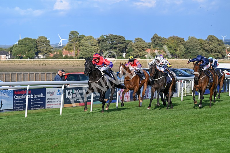 240924-Race 7-It Just Takes Time-6907 - Race 7