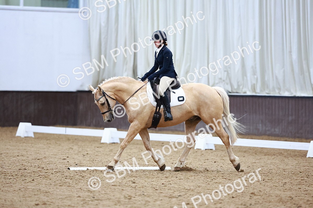 0B8A8305 - Class 5 - Novice 2