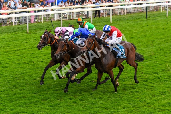 100923-Race 6-Anjo Bonita-1079 - Race 6 4.25pm Hanson Springs 60th Anniversary Handicap at York