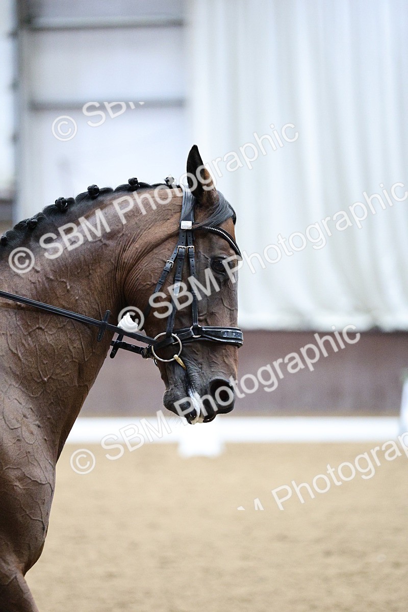 SBM_001620 - Class 7 - Elementary 5