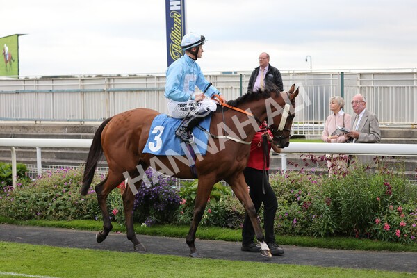 yr24092021r8-2 - Race 8 5.25pm William Hill Build Your Own Odds Apprentice Stakes