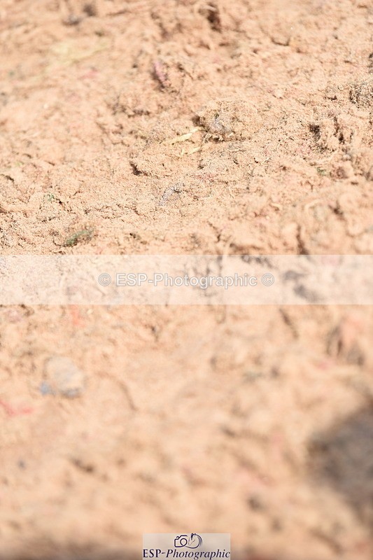 230902A-123138-01043 - Cls 9 1.10m Amateur Quali