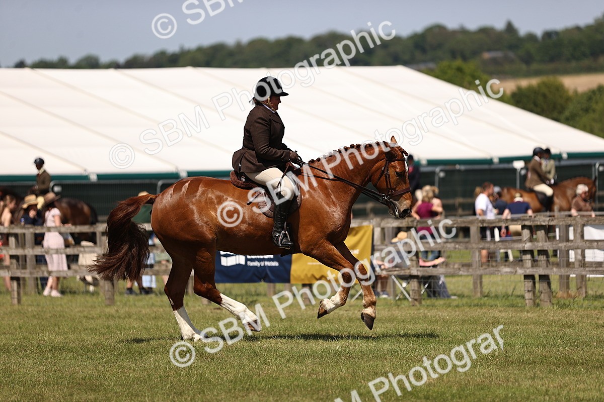 SBM_17753 - Class 81-83 - TSR Ridden Amateur of the Year - Horses