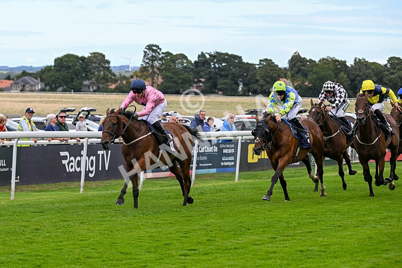 160926-Race 1-Austrian Theory-9153 - Race 1 2.08pm Season Finale Is Next Tuesday Selling Handicap