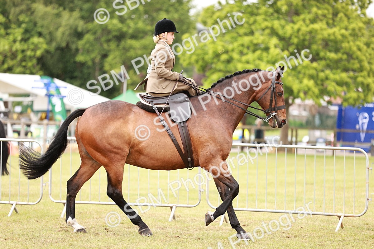 SBM_10974 - Class 81-84 - RIHS Ridden hunters Inc Ladies Hunter