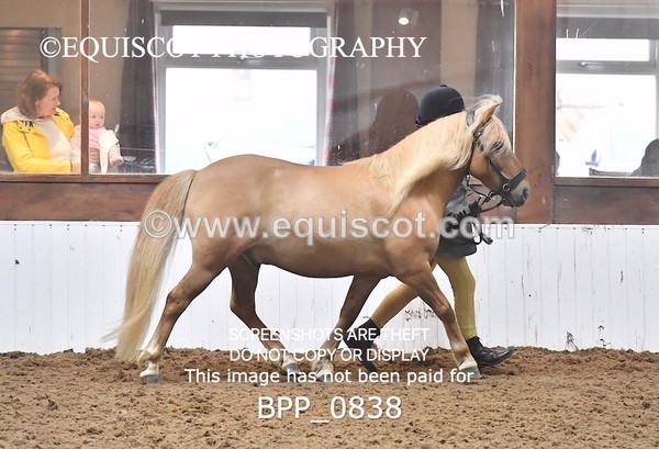 BPP_0838 - RING 1