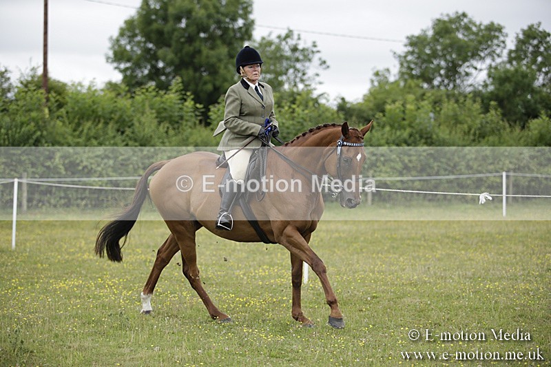 BVR160717-487 - Ring 1 BVRC Show 16/07/17