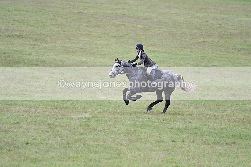 WJ7_4254 - Camera 1 Line 2