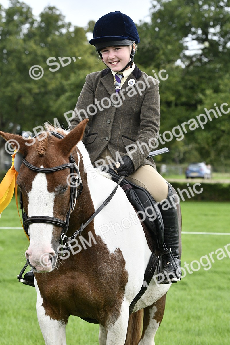 SBM_38308 - S31 - Novice & Newcomer Working Hunter Pony