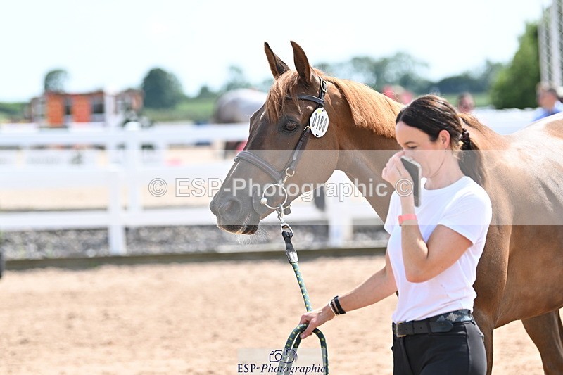 240717A-150758-02573 - Trot Up 3pm to 4pm
