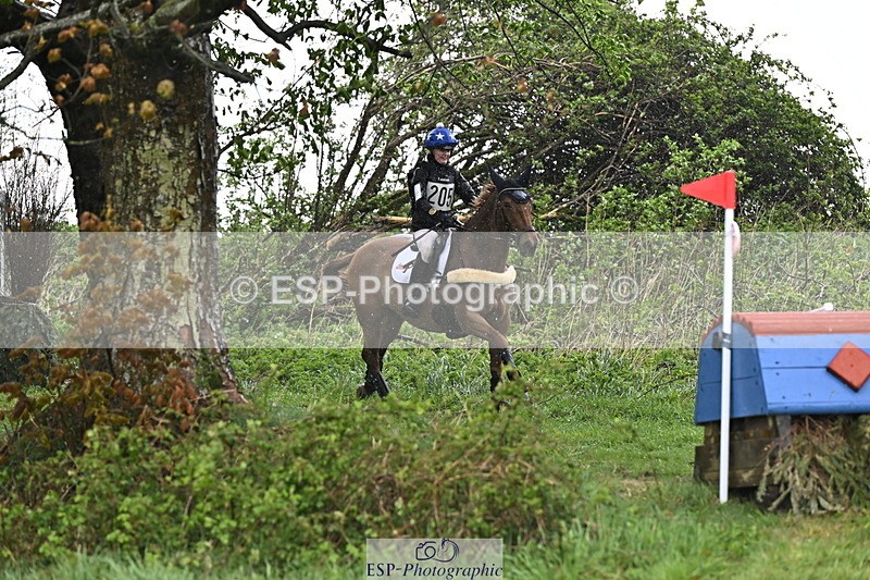 250418-131900-04115 - 205-Millie.Stoneman-V8.CHESTER