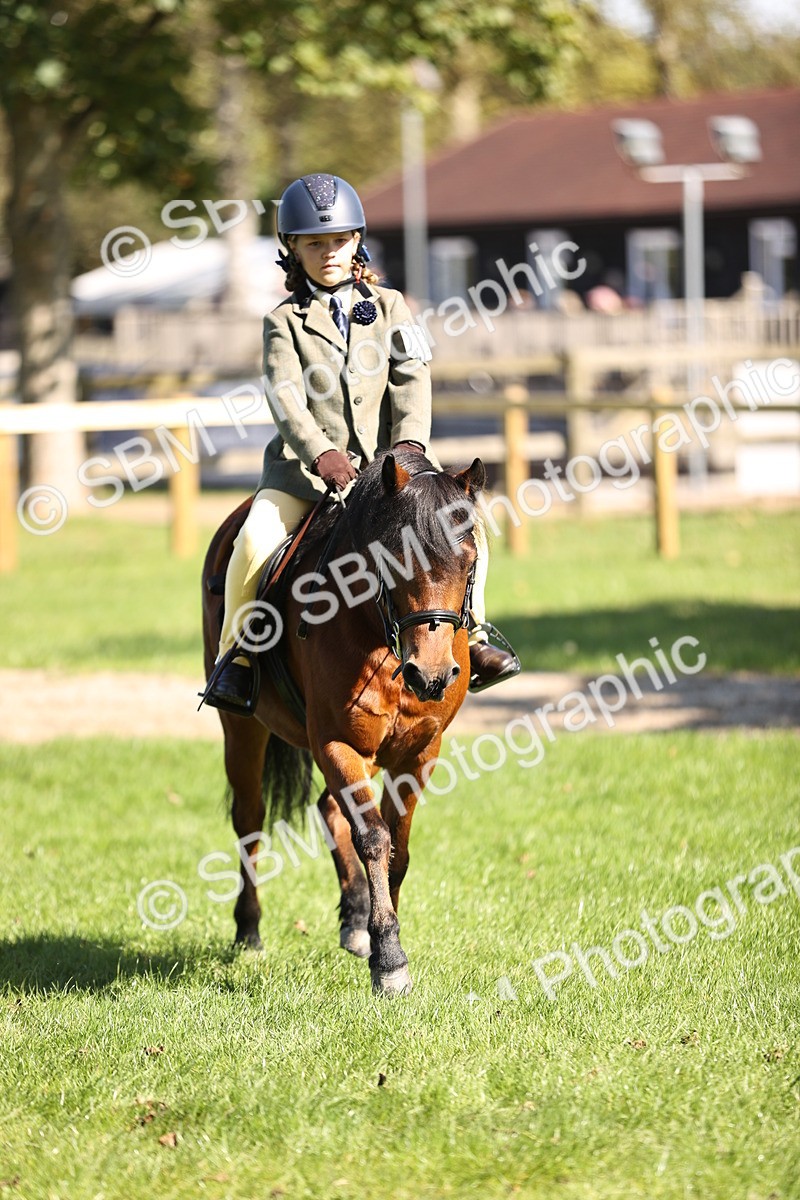 SBM_19340 - S3 - TSR Ridden Pony Showing